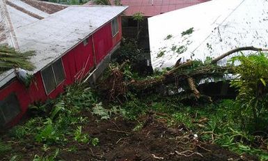 Mud, dirt and tree branches cover a hillside and land on a residential rooftop; one example of severe storms, flooding and mudslides in July - August 2014 in American Samoa.