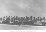 Copra drying shed and village, Likiep Atoll, summer 1949