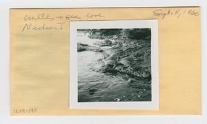 [Turtles in Hawaii, envelope IE29-190]