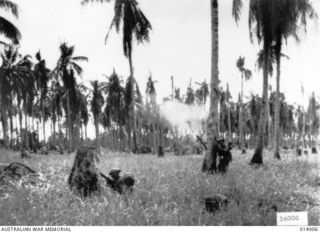 The final assault on Buna. Men of D Company, 2/12th Battalion, crouch in Kunai grass as they advance to attack a Japanese pillbox, which is being shelled by an Australian tank. Note mortar firing ..