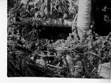 Front of machine gun encampment