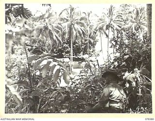 KALAMPUN VILLAGE, NEW BRITAIN. 1945-01-16. VX118938 PRIVATE T.A. MCLEAN, OWEN GUNNER OF "A" COMPANY, 14/32ND INFANTRY BATTALION IN AN OUTSKIRT POSITION ABOVE THE VILLAGE KEEPING A WATCH OUT FOR ..