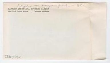 [Laysan Finch in Hawaii, envelope IE23-082]