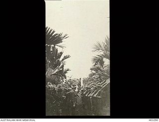 Kieta, Bougainville Island. 1914-12-09. Soldiers on parade listening to the reading of a Proclamation of British military occupation of the Solomon Islands