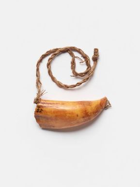 Tabua (Ceremonial whale tooth)