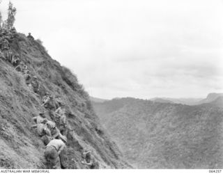 SHAGGY RIDGE, NEW GUINEA. 1944-01-23. TROOPS OF "A" COMPANY, 2/9TH INFANTRY BATTALION ON THE "INTERMEDIATE PIMPLE" SHORTLY AFTER IT'S OCCUPATION DURING THE BATTLE FOR SHAGGY RIDGE