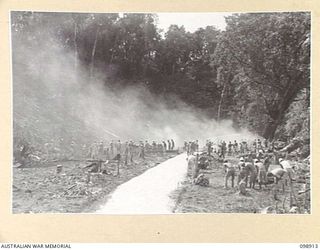 MASAMASA ISLAND, SOLOMON ISLANDS. 1945-11-14. JAPANESE WORKING PARTY CLEARING GROUND AND BURNING OFF FOR THE LAYING OF GARDENS IN JAPANESE AREA 14. JAPANESE CONCENTRATED ON THE ISLAND ARE UNDER THE ..