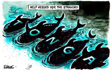 Evans, Malcolm Paul, 1945- :Help Needed. 19 January 2014