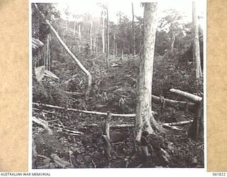 KOKODA TRAIL, NEW GUINEA. 1943-12-19. PHOTOGRAPH OF TYPICAL COUNTRY WHERE CHAUVEL'S PRODUCTIONS ARE FILMING SEQUENCES FOR "RATS OF TOBRUK"