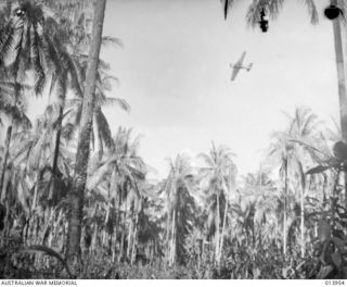 1942-12-28. PAPUA. A WIRRAWAY AIRCRAFT FLIES OVERHEAD DIRECTING FIELD ARTILLERY DURING THE ATTACK BY ALLIED INFANTRY AND AUSTRALIAN-MANNED TANKS ON BUNA