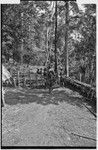 Pig festival, stake-planting, Tuguma: decorated men inside house fence