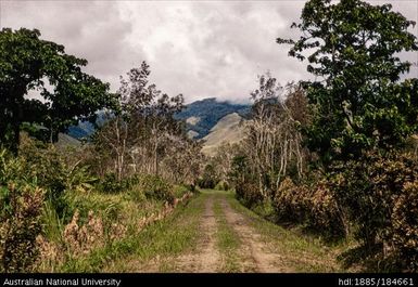 Markham Valley - looking back on road