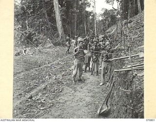 WAU - LAE ROAD, NEW GUINEA, 1944-03-03. NGX306 WARRANT OFFICER II, D.H. FERRIES ( ), WITH WARRANT OFFICER II, PARER ( ), MEASURING THE BENCHING AT A SECTION 83 MILES FROM WAU ON WHICH NATIVES ARE ..