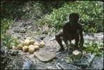 Man with coconuts