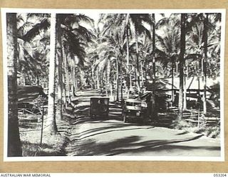 MILNE BAY, NEW GUINEA. 1943-06-26. ENTRANCE TO HEADQUARTERS, 5TH AUSTRALIAN DIVISION, SITUATED IN HAGITA PLANTATION, GILI GILI