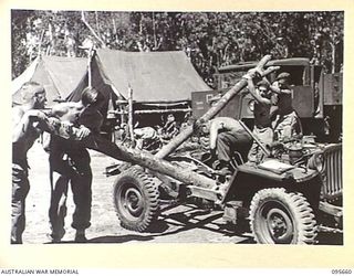 BOUGAINVILLE. 1945-08-30. CRAFTSMEN OF 2/4 ARMOURED REGIMENT WORKSHOP AT A FORWARD WORKSHOP, ATTEMPTING TO STRAIGHTEN A JEEP CHASSIS DAMAGED BY A FALLING TREE