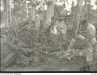 NADZAB, NEW GUINEA. 1944-05-09. 60705 SERGEANT E. R. BARRACLOUGH (LEFT), HURLSTONE PARK, NSW, AND 24341 SGT S. F. BUCHANAN, WINDFIELD, NSW, NO. 23 MEDICAL CLEARING STATION RAAF, AMONG THE TOMATOES, ..