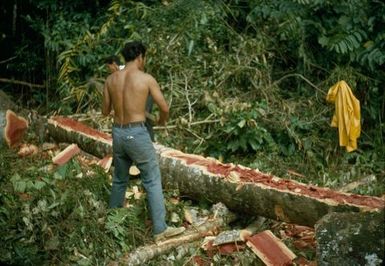 Canoe Making in Niue