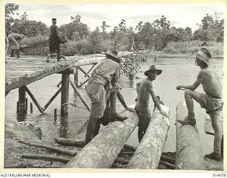 1943-01-14. PAPUA. GIROPI POINT. AUSTRALIAN ENGINEERS ASSISTED BY NATIVES, BUILD A BRIDGE ACROSS A RIVER NOT FAR FROM THE FRONT. (NEGATIVE BY BOTTOMLEY)