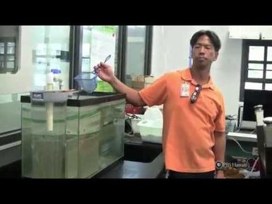 PBS Hawaii - HIKI NŌ Episode 413 | Ewa Makai Middle School | The Hammer of EMMS