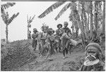 Pig festival, singsing preparations, Tsembaga: led by Muk, Mbabi, and Yemb, men play kundu drums and dance on future dance ground