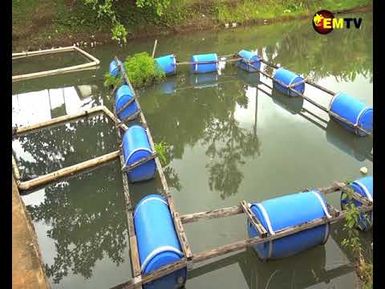 FISH POND PROJECT