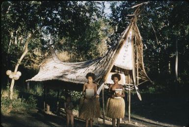 Village houses (4) : Bwalalea village, D'Entrecasteaux Islands, Papua New Guinea, 1956-1958 / Terence and Margaret Spencer