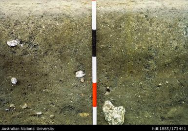 SAD/I, South profile, next to and Westward from CE54, upper part of feature 83, looking South