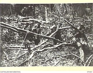 WEBER POINT, MALALAMAI, NEW GUINEA, 1944-02-09. MEMBERS OF "B" COMPANY, 30TH INFANTRY BATTALION, ALONG THE TRACK BETWEEN WEBER POINT AND MALALAMAI IN THEIR ADVANCE OVER MUDDY SWAMPS, KUNAI GRASS, ..