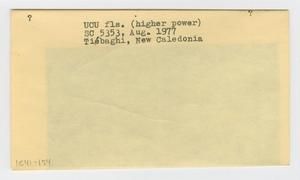 [Unidentified plant in New Caledonia, envelope IE41-154]