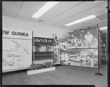 Papua New Guinea Display