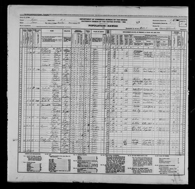 1940 Census Population Schedules - Hawaii - Hawaii County - ED 1-48