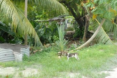 Kiribati Betio