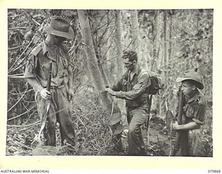 WAITAVALO AREA, WIDE BAY, NEW BRITAIN. 1945-03-16. ARTILLERY SIGNALMEN OF THE 2/14TH FIELD REGIMENT, ROYAL AUSTRALIAN ARTILLERY ON THE LINE NEAR THE TOP OF LONE TREE HILL BEHIND THE WAITAVALO ..