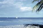 Tulula (lapsteak harvesting vessels) returning in evening with loads of coconuts (popo)