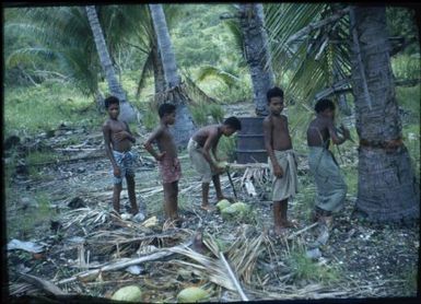 Raku boys husking coconuts : Port Moresby, Papua New Guinea, 1953 / Terence and Margaret Spencer