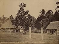 Samoan huts