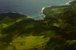 Aerial view of coconut plantation, Madang coast, Apr 1965