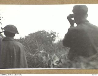 FAIR RIVER AREA, NEW GUINEA. 1943-11-07. TROOPS OF THE 2/4TH AUSTRALIAN FIELD REGIMENT OBSERVING THEIR ARTILLERY FIRE ON JAPANESE POSITIONS. ON SHAGGY RIDGE. A BATTERY OF THE REGIMENT FIRED 156 ..