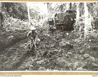 LANGEMAK AREA, NEW GUINEA, 1943-11-01. TROOPS OF THE 870TH UNITED STATES ENGINEER AVIATION BATTALION WORKING ON THE CONSTRUCTION OF A ROAD TO THE NEW AERODROME IN THE DREGER HARBOUR AREA. AN ..