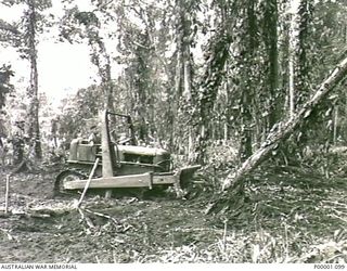 THE SOLOMON ISLANDS, 1945-04-24/27. A NATIVE DRIVEN BULLDOZER CLEARING TIMBER IN PREPARATION FOR THE CONSTRUCTION OF AN AUSTRALIAN CAMP SITE ON BOUGAINVILLE ISLAND. (RNZAF OFFICIAL PHOTOGRAPH.)