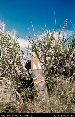 Warfare: Man hiding behind shield