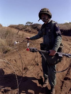 SPEC. 4 Phil Weeks of the 25th Inf. Div. Military Police Company, stands guard at the foot of Puu Keekee during annual training exercises