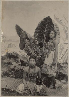 Two Polynesian women on a woven mat with palm leaves, approximately 1895