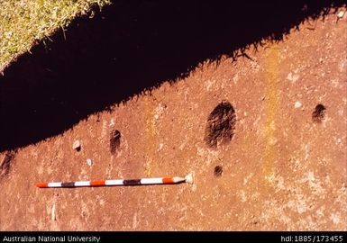 SAD/II, spit 6, layer 3 - row of possible post and stake holes looking West