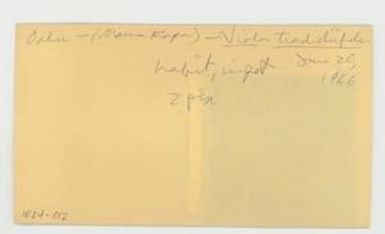 [Viola tracheliifolia in Hawaii, envelope IE24-012]