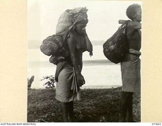 TAMIGUDU AREA, NEW GUINEA. 1944-05-12. TAMIGUDU NATIVES CARRYING FRUIT AND VEGETABLES FROM NATIVE GARDENS TO THE BEACH. MOST OF THE WORK IS DONE BY NATIVE WOMEN WHO CARRY PRODUCE IN A "BILLUM" ..