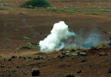 An aerial view of a live fire exercise being conducted by the 2nd Brigade, 25th Infantry Division during annual training