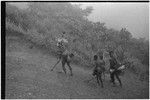 Pig festival, stake-planting, Tuguma: decorated man pierces dance ground with painted stake to expel enemy spirits