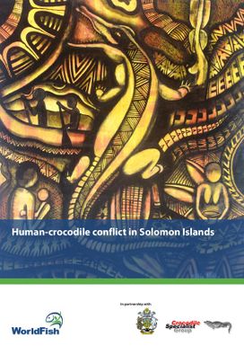 Human-crocodile conflict in Solomon Islands.